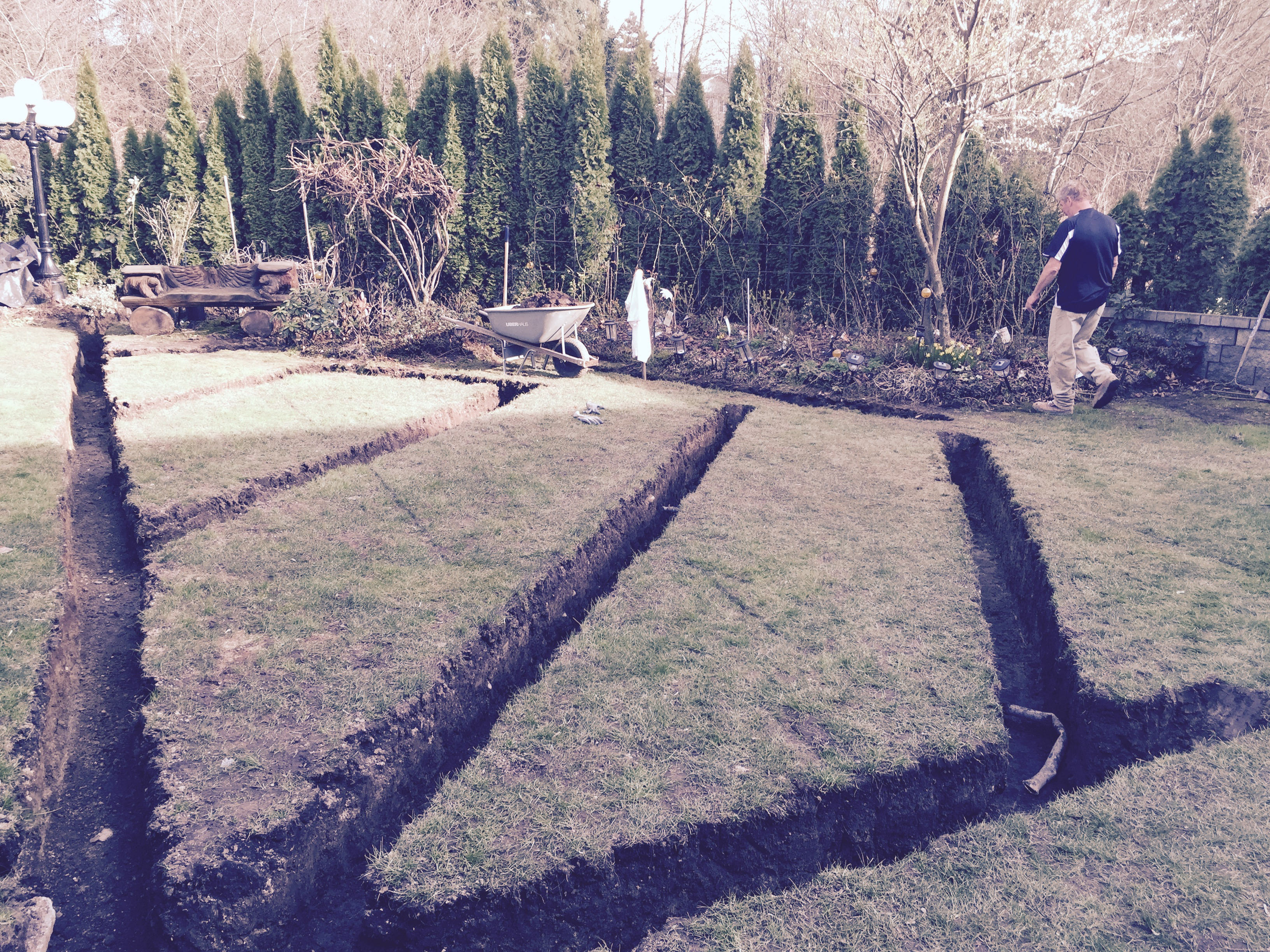 soil remediation companies